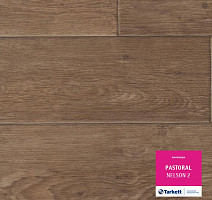 Линолеум Tarkett Pastoral NELSON 2 фото 1 | FLOORDEALER